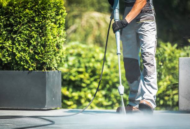 Best Boat and Dock Cleaning  in Parsons, TN
